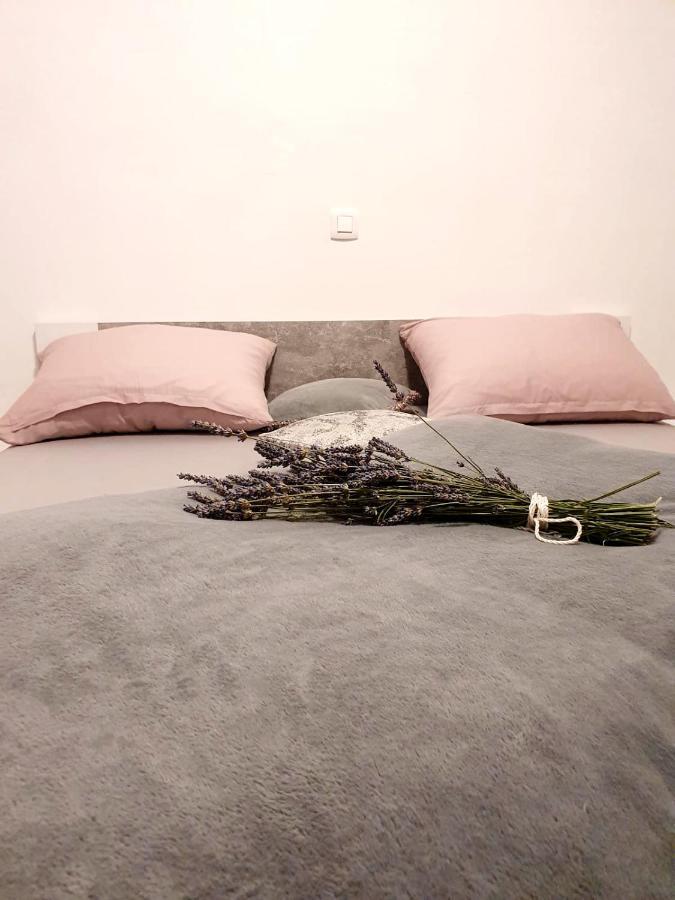 Apartman Skolj Jovici  Esterno foto